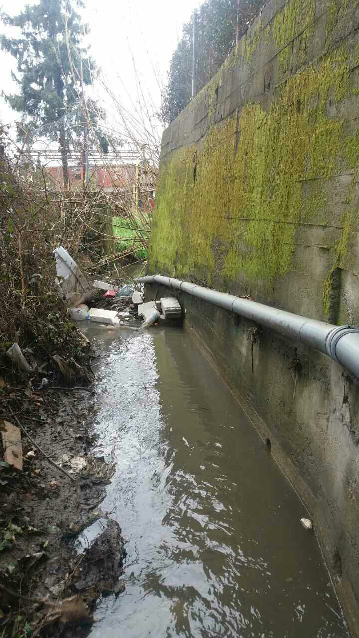 Čišćenje potoka u naselju Dumidran